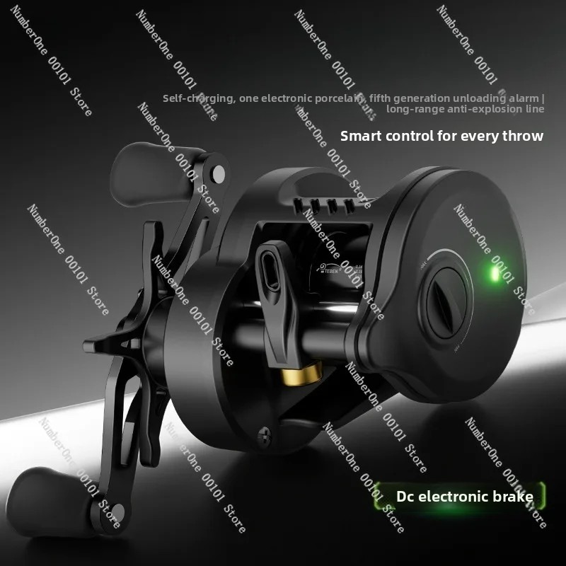 Electronic Magnetic Brake Fish - đánh giá và giá Electric Reel